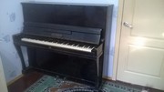  Продается пианино. Продается пианино. Продается пианино.