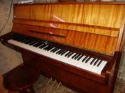 пианино Беларусь для начинающих музыкантов